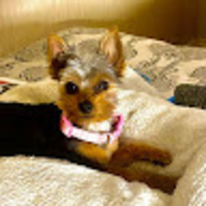 Meet your Posher, Robert